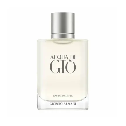 Perfume Giorgio Armani Acqua di Giò Masculino Eau de Toilette 100ml